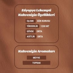 Etiyopya Lekempti 1kg Filtre Kahve (Çekirdek)
